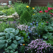 Landscape Ideas