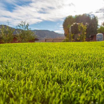 Yester Estate Artificial Turf Lawn