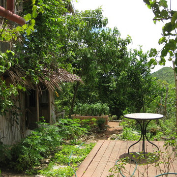 Edible and Medicinal Gardens for Yoga Center