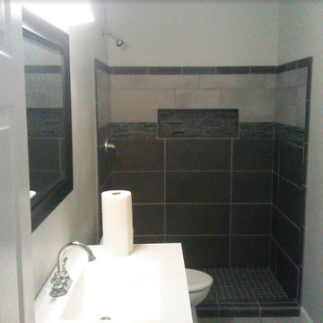 Bathroom remodel - Dan job - complete with horizontal shampoo niche