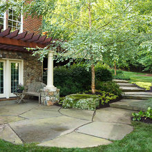 Backyard Oasis