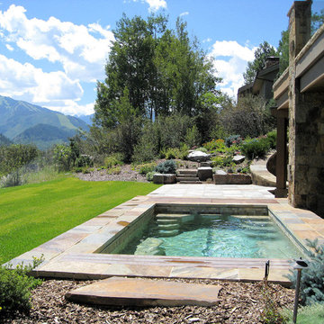 Swim Spa - Aspen, CO