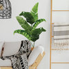 Banana Leaf Peel And Stick Giant Wall Decals