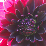 Megan Morrison's photo