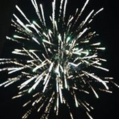 Tracy Sharkins's photo