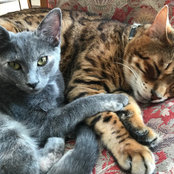 Nancy Shaw's photo