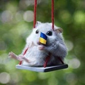 Alekc Ierchenko's photo