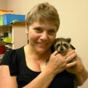 Lisa Norton's photo