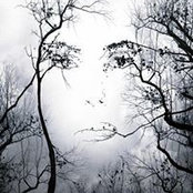 Sherri Romberg's photo