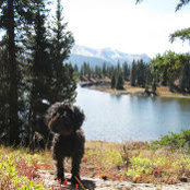 Jennifer Clark's photo