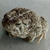Jody Tate's photo