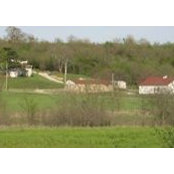 Joe Ewert's photo