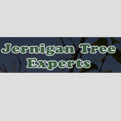 Jernigan Tree Experts