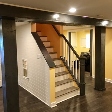 Arlington Basement, Bathroom and Kids Play Area