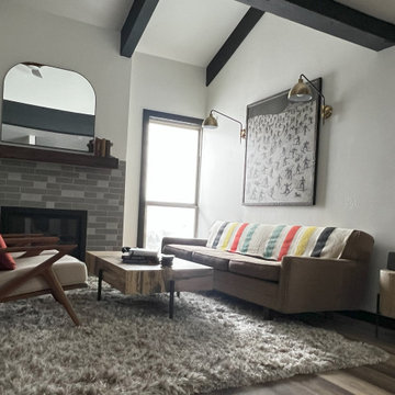 Mid-Century Modern Living Room Update