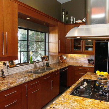 Dow Rivera Contemporary Kitchen Remodel