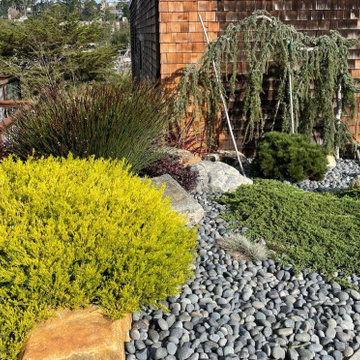 Peaceful, Sustainable Rock Garden