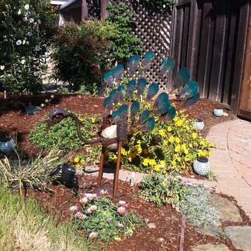 Native Garden on the CNPS Garden Tour