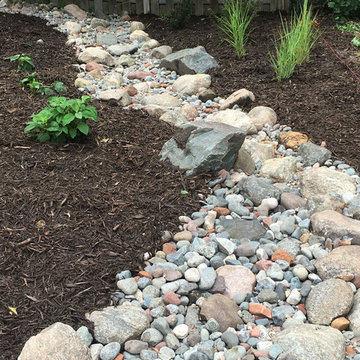 New Brighton Backyard