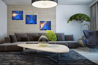 Inspiration for a contemporary living room remodel in Other