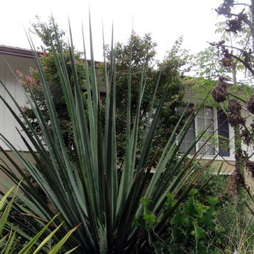 Facade, existing