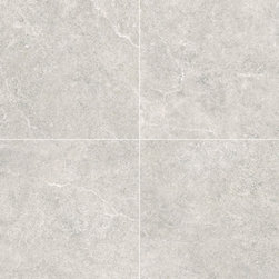 Futura Silver 24x24 2cm Paver (R11 Tile) - Tile