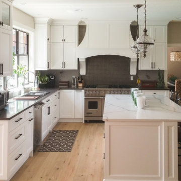Transitional Whole Home Reno - Surrey