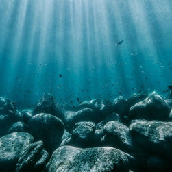 Underwater Elements by Joel Coleman - Photographs