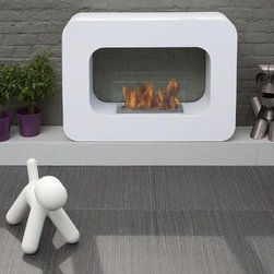 Orlando Bio Ethanol Fireplace - Indoor Fireplaces