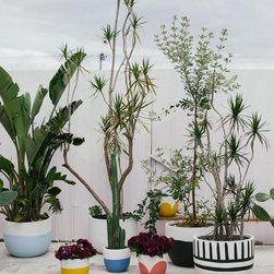 BIg Sky Dip Pot | Pop & Scott - Indoor Pots And Planters