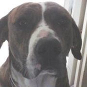 Jane Cashion's photo
