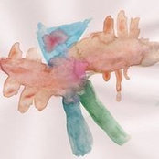 Alon Barkay's photo