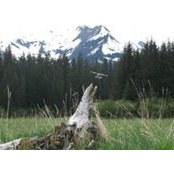Ross Faver's photo