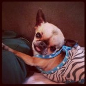 Foto de Chloe Pardee
