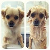 Vi Vi's photo