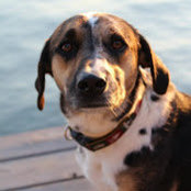 Annette Otis's photo