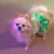 Jen Aultowski's photo