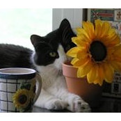 Barb Stanleys foto