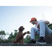 David Chouraqui's photo