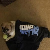 Matthew Kowal's photo