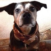 Amy Schantzenbach's photo