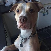 Dave Wall's photo