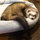 webuser_86475295