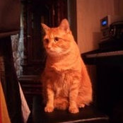 Vilma Kaneko's photo