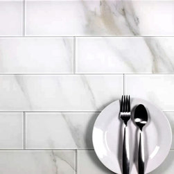 Abolos - Nature 4 in x 16 in Glass Subway Tile in Glossy Calacatta White - Mosaic Tile