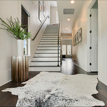 Cowhide Rug from NATURAL