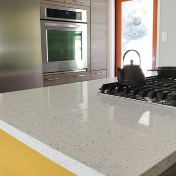 Compact & Vivid Contemporary Kitchen in Pasadena