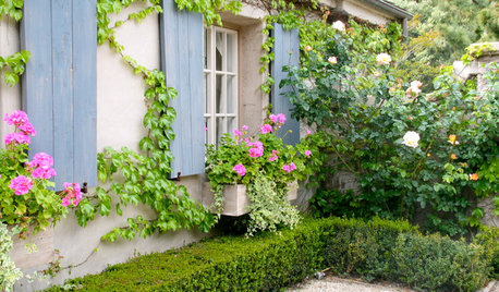 14 of the Prettiest Window Boxes