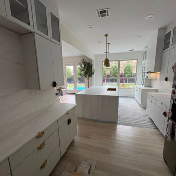 Bianco Rhino Marble Kitchen Project