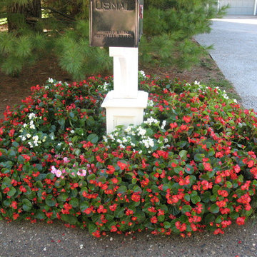 Mailbox planting